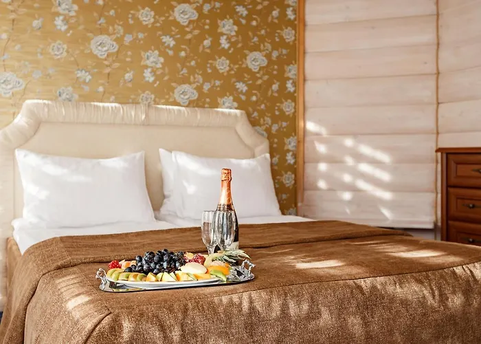 酒店 Korona Hotel&spa 布克维