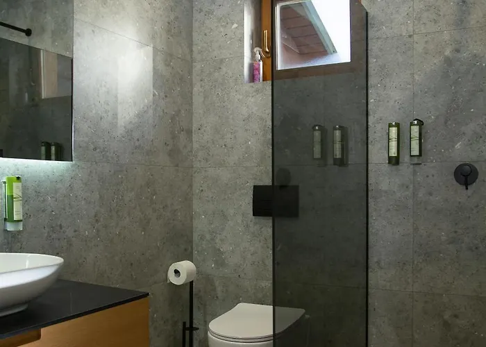 酒店 Korona Hotel&spa 布克维