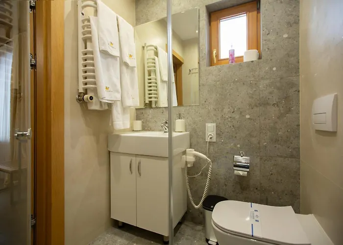 Korona Hotel&spa 酒店 布克维